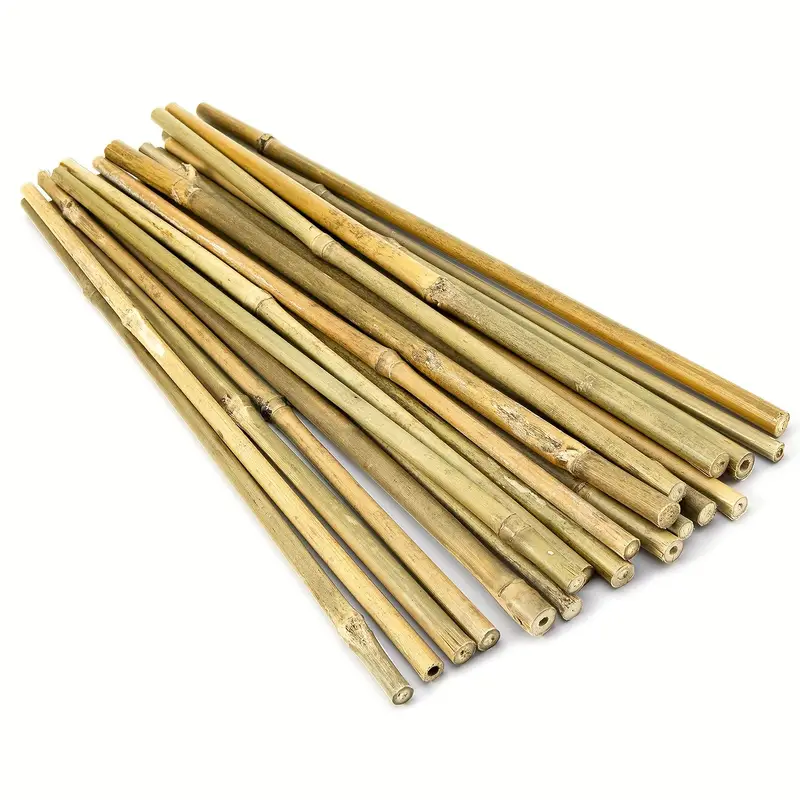 noveny-tamaszto-palca