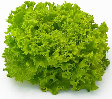 zold-salata